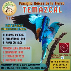 WhatsApp Image 2026-01-01 at 15.04.33 WhatsApp Image 2026-01-01 at 15.04.33