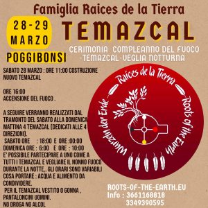 WhatsApp Image 2026-02-24 at 19.38.33