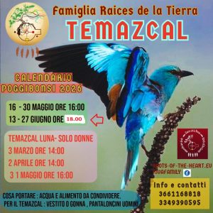 temazcal giugno temazcal giugno